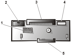 jumper-3.gif (14953 bytes)