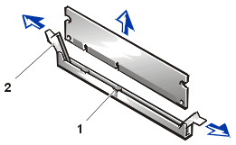 remove33.gif (8244 bytes)