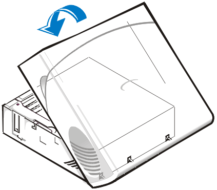 gator_04.gif (20335 bytes)