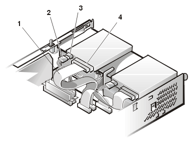 gator_16.gif (26324 bytes)
