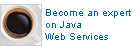 Become an expert on Java Web Services